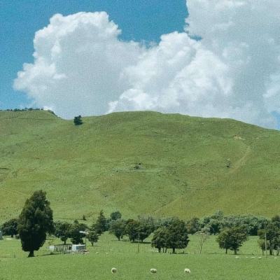 NG体育APP官方下载网址截图