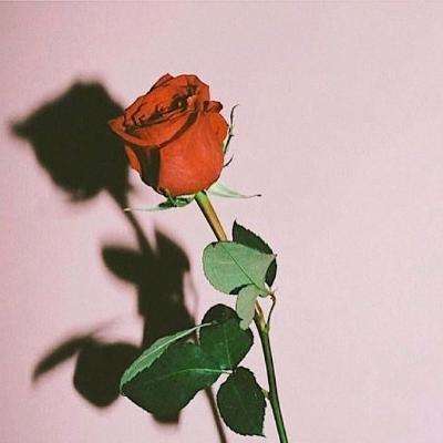 NG体育APP官方下载网址截图