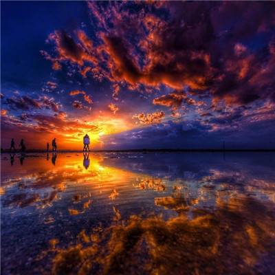 NG体育APP官方下载网址